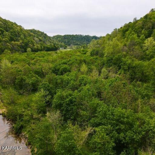 Blackburn Fork Road Cookeville, TN 38501 - Photo 17 of 29 218831_18