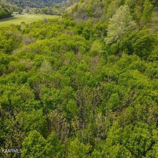 Blackburn Fork Road Cookeville, TN 38501 - Photo 18 of 29 218831_19