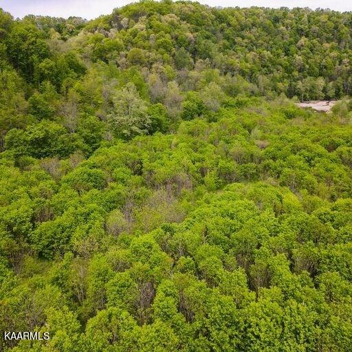 Blackburn Fork Road Cookeville, TN 38501 - Photo 19 of 29 218831_20