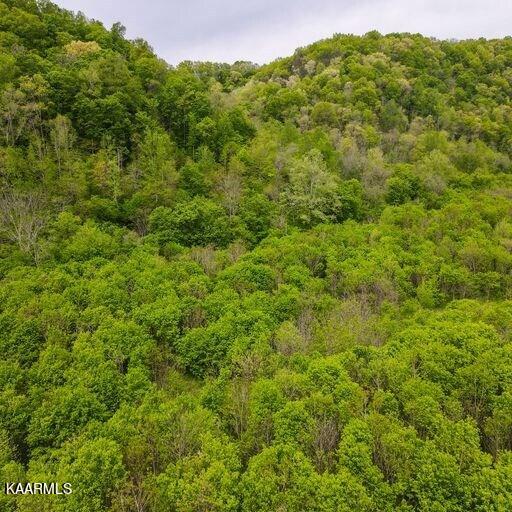 Blackburn Fork Road Cookeville, TN 38501 - Photo 20 of 29 218831_21