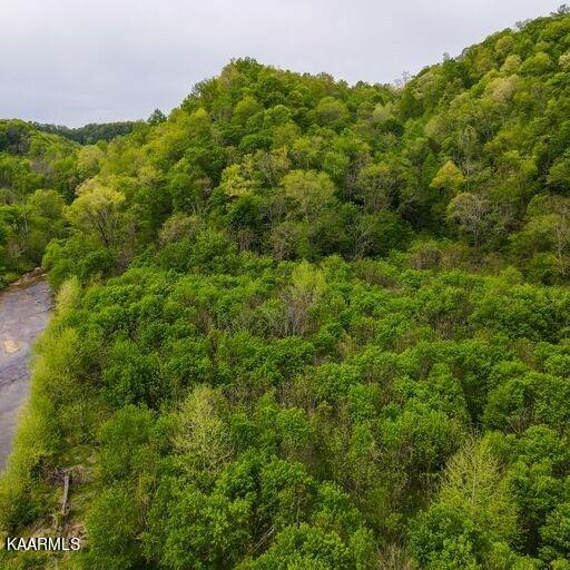 Blackburn Fork Road Cookeville, TN 38501 - Photo 21 of 29 218831_22