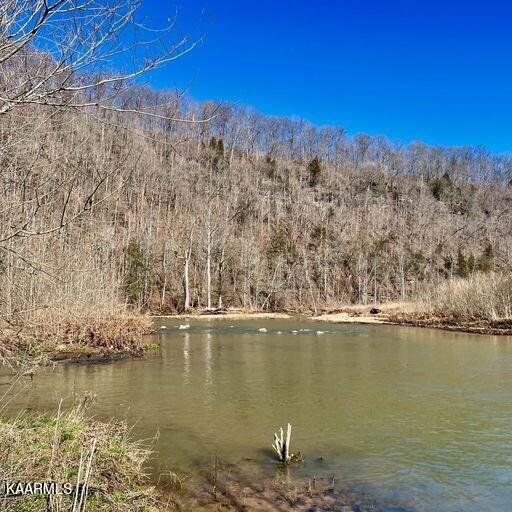 Blackburn Fork Road Cookeville, TN 38501 - Photo 22 of 29 218831_24