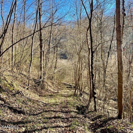 Blackburn Fork Road Cookeville, TN 38501 - Photo 23 of 29 218831_25