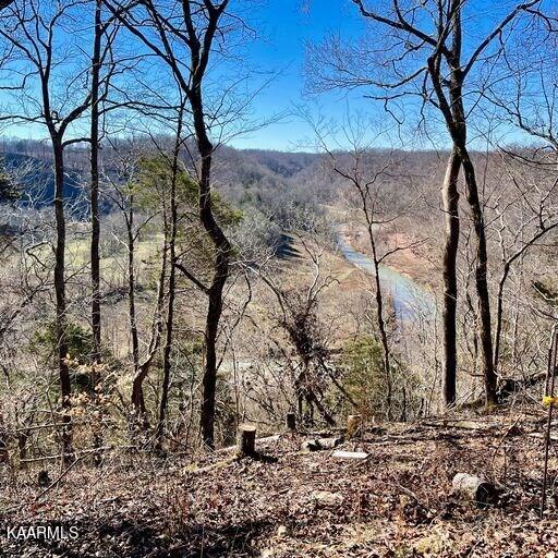 Blackburn Fork Road Cookeville, TN 38501 - Photo 24 of 29 218831_26