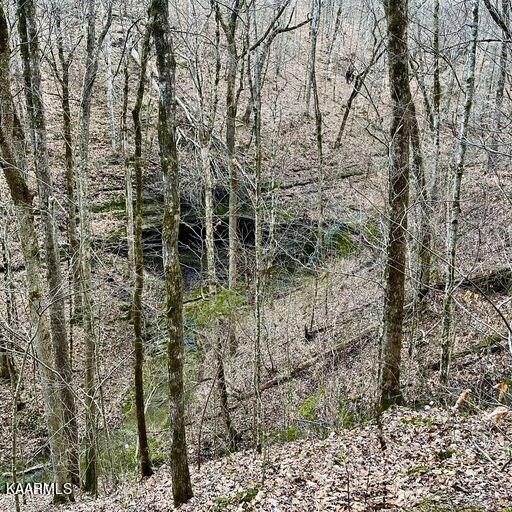 Blackburn Fork Road Cookeville, TN 38501 - Photo 25 of 29 218831_27