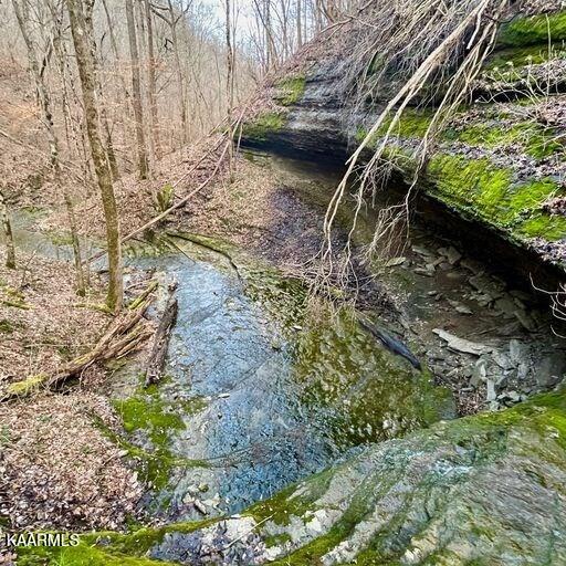 Blackburn Fork Road Cookeville, TN 38501 - Photo 27 of 29 218831_31
