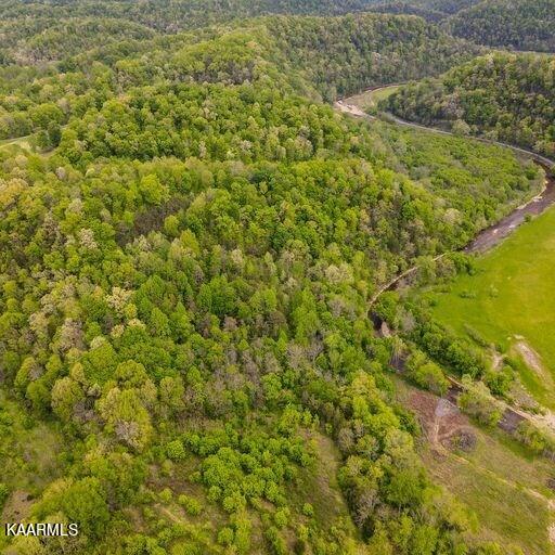 Blackburn Fork Road Cookeville, TN 38501 - Photo 4 of 29 218831_3