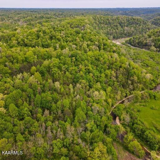 Blackburn Fork Road Cookeville, TN 38501 - Photo 5 of 29 218831_4