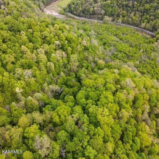 Blackburn Fork Road Cookeville, TN 38501 - Photo 6 of 29 218831_6