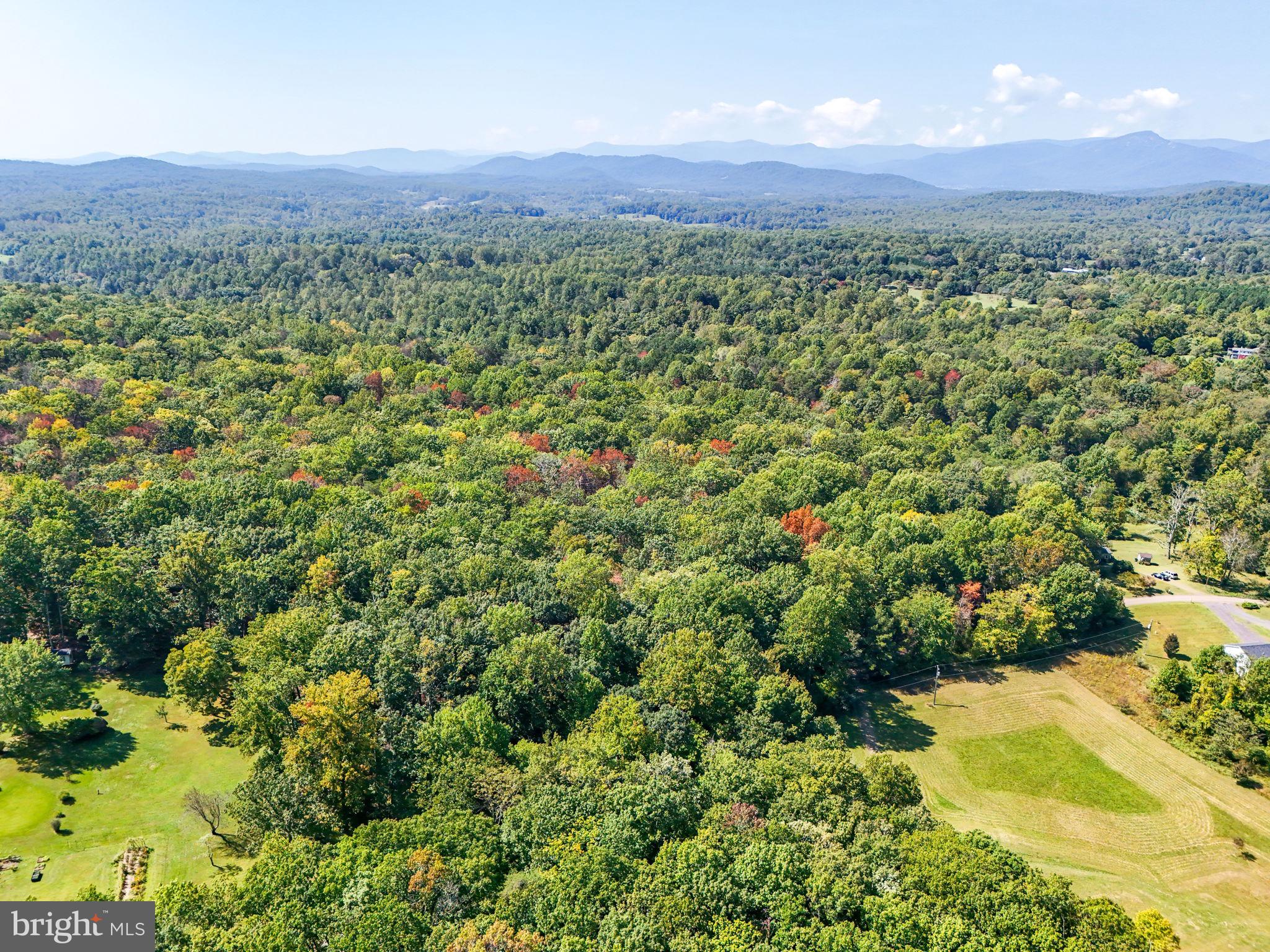 Lot B Obannons Mill Road Boston, VA 22713 - Photo 18 of 25 a view of a lush green field with a mountain in the background
