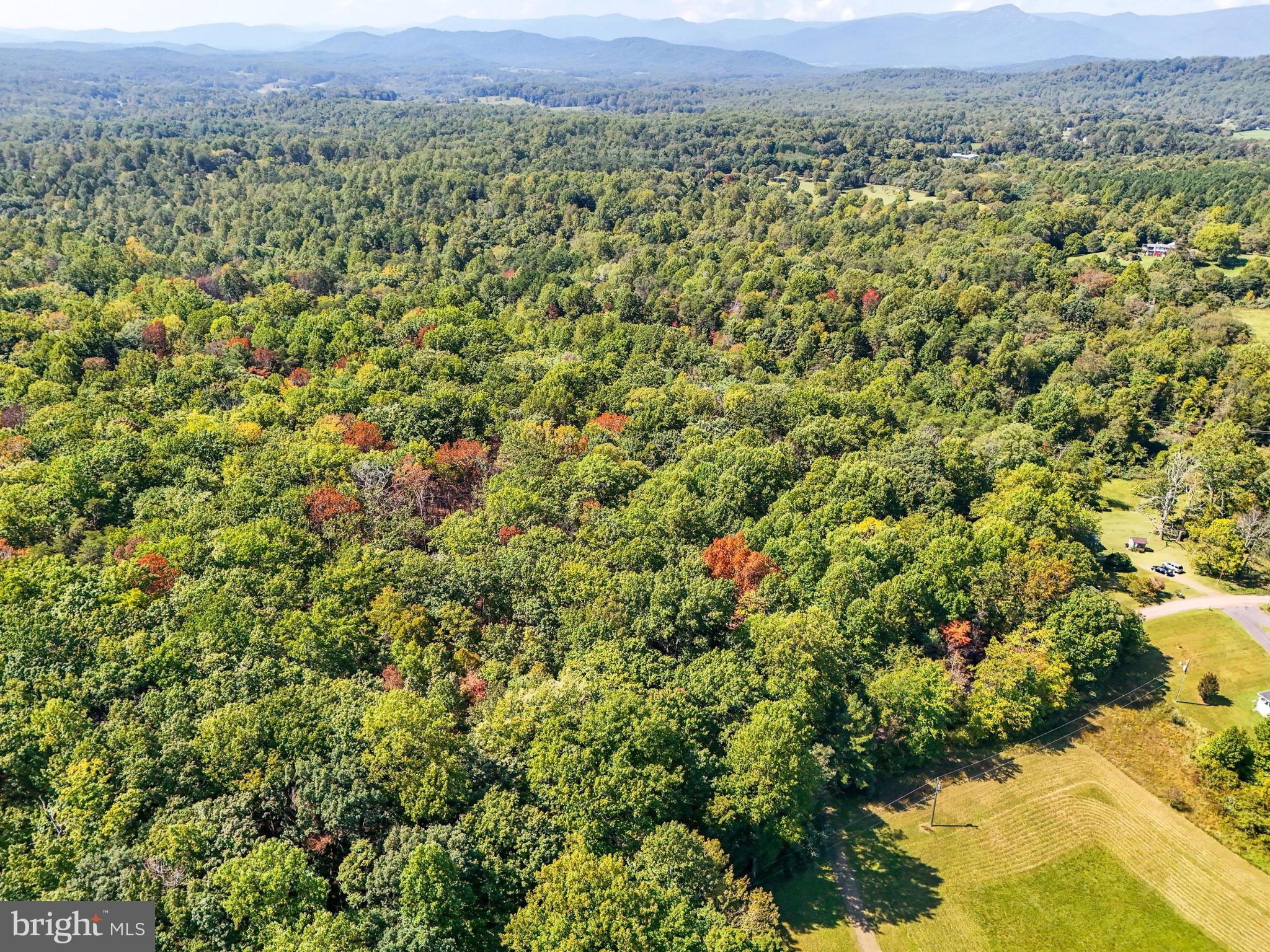 Lot B Obannons Mill Road Boston, VA 22713 - Photo 20 of 28