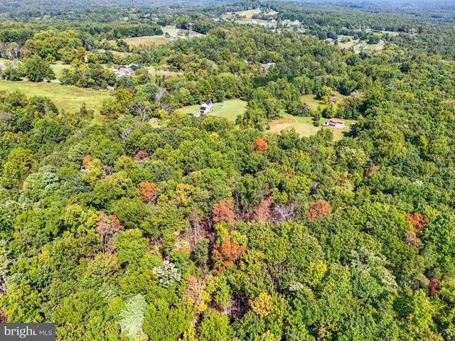 a view of a large yard with lots of bushes