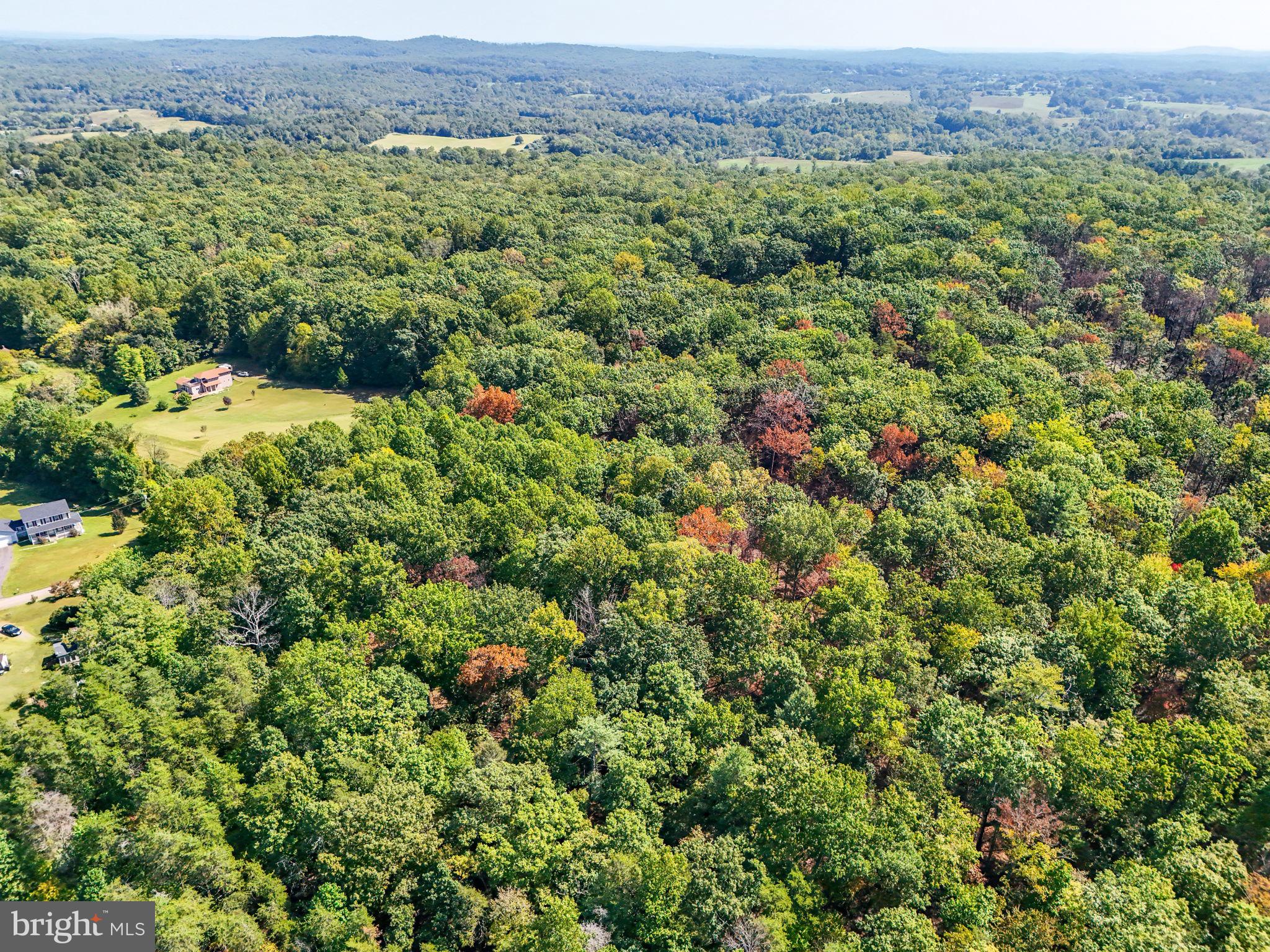 Lot B Obannons Mill Road Boston, VA 22713 - Photo 23 of 25 a view of a lush green field with lots of bushes