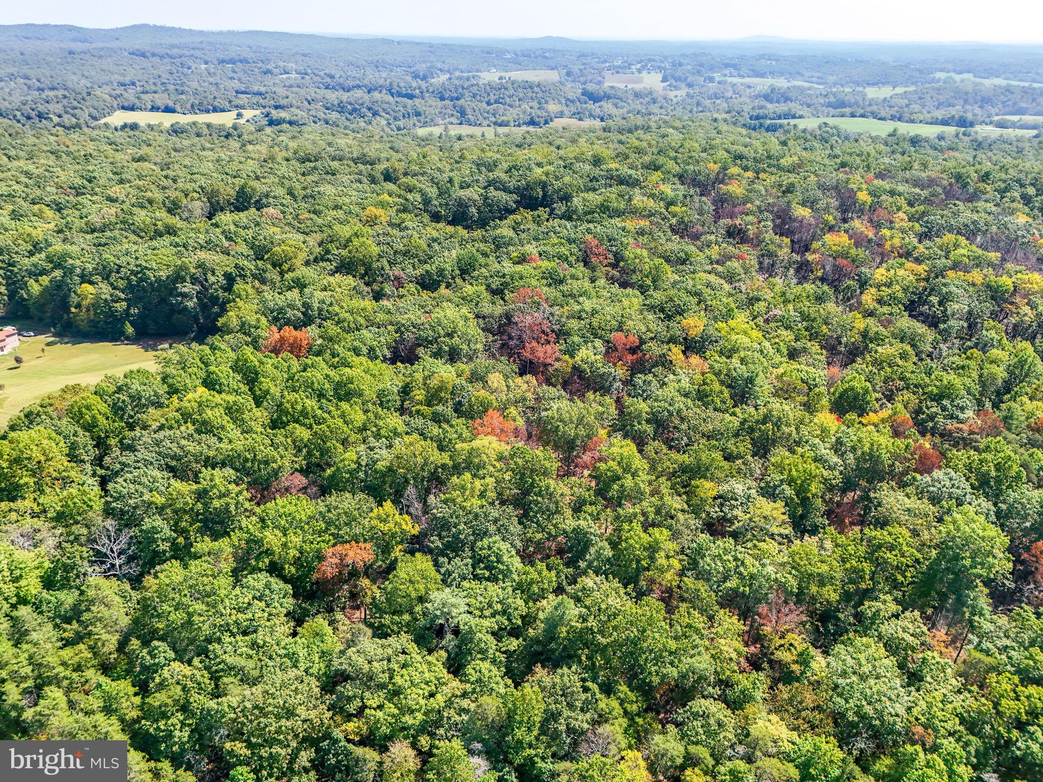 Lot B Obannons Mill Road Boston, VA 22713 - Photo 24 of 25 a view of a lush green field with lots of bushes