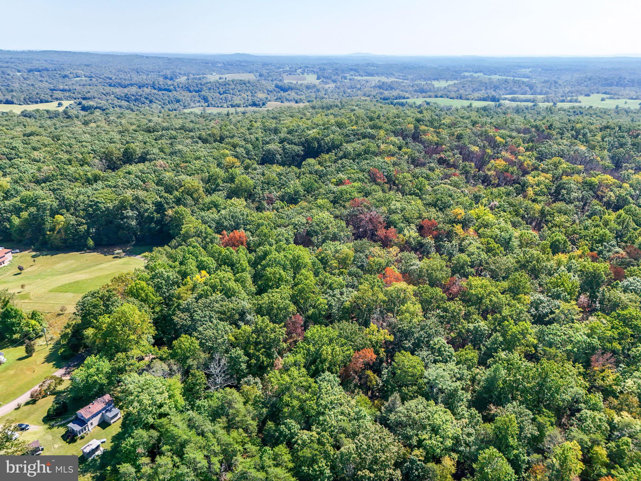 Lot B Obannons Mill Road Boston, VA 22713 - Photo 25 of 25 a view of a lush green field with an outdoor space