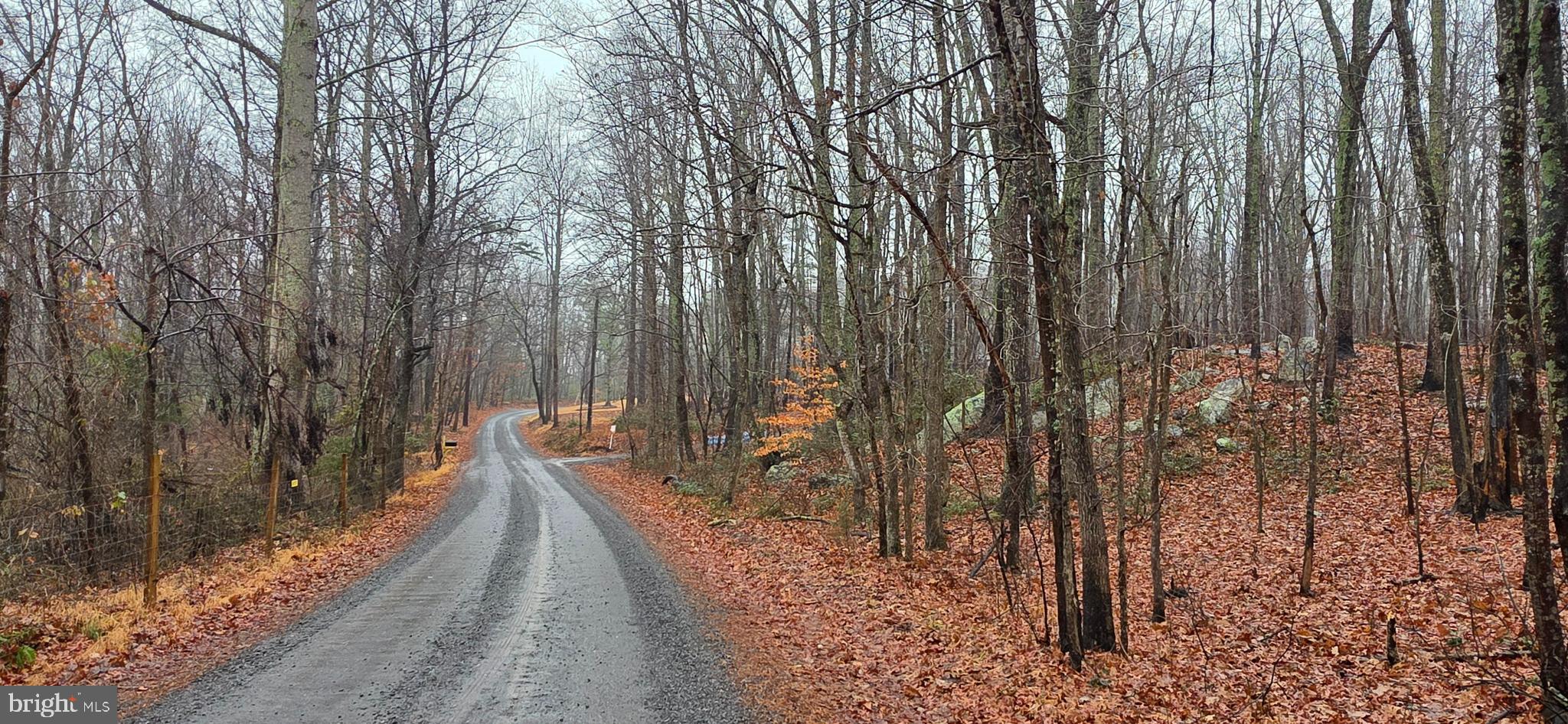 Lot B Obannons Mill Road Boston, VA 22713 - Photo 3 of 30 Gravel road