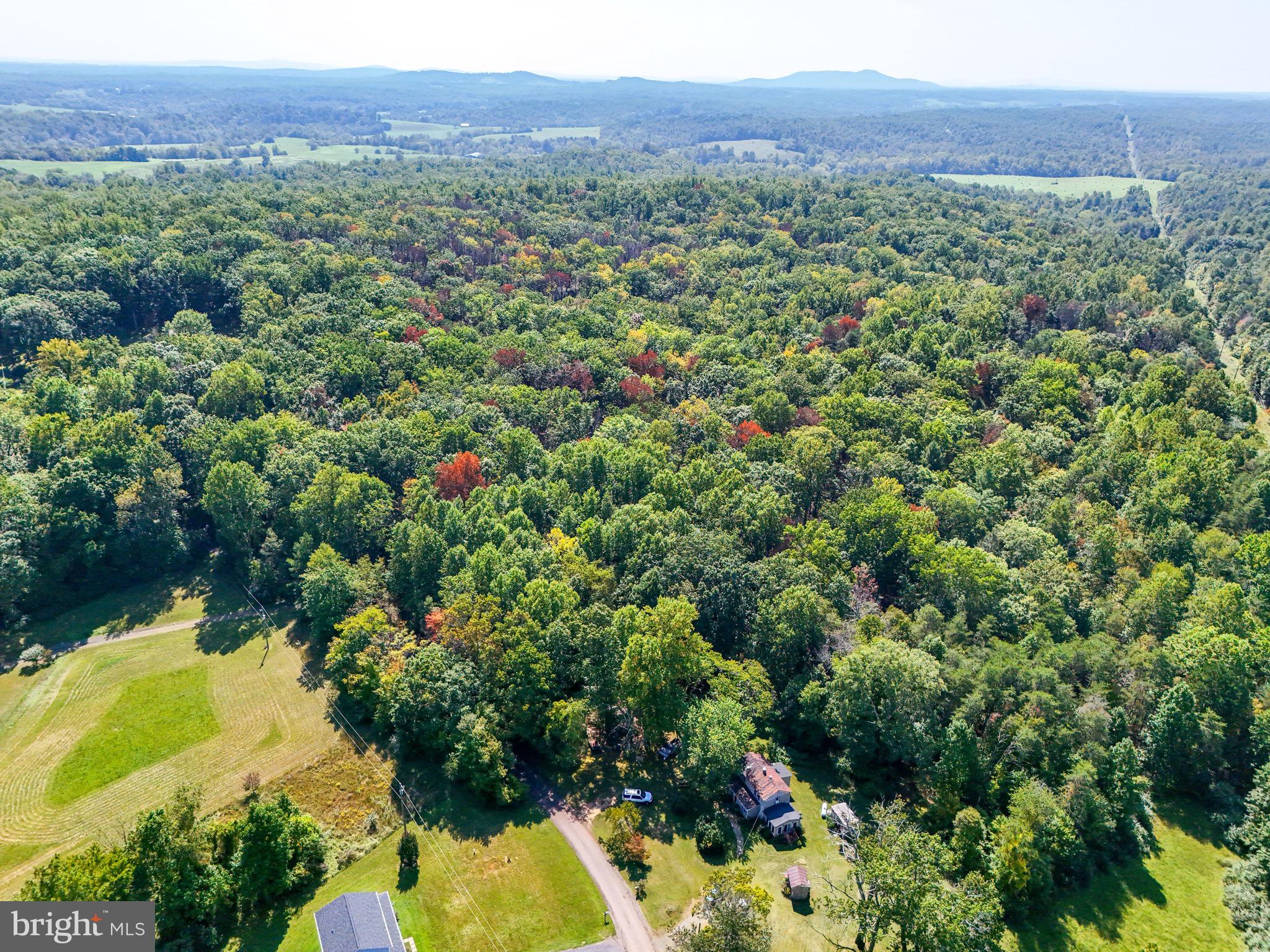Lot B Obannons Mill Road Boston, VA 22713 - Photo 5 of 25 a view of a lush green forest with a house