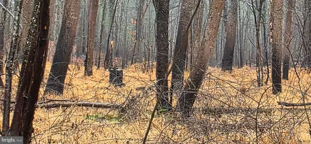 $124,000 | Lot B Obannons Mill Road, Boston, VA 22713