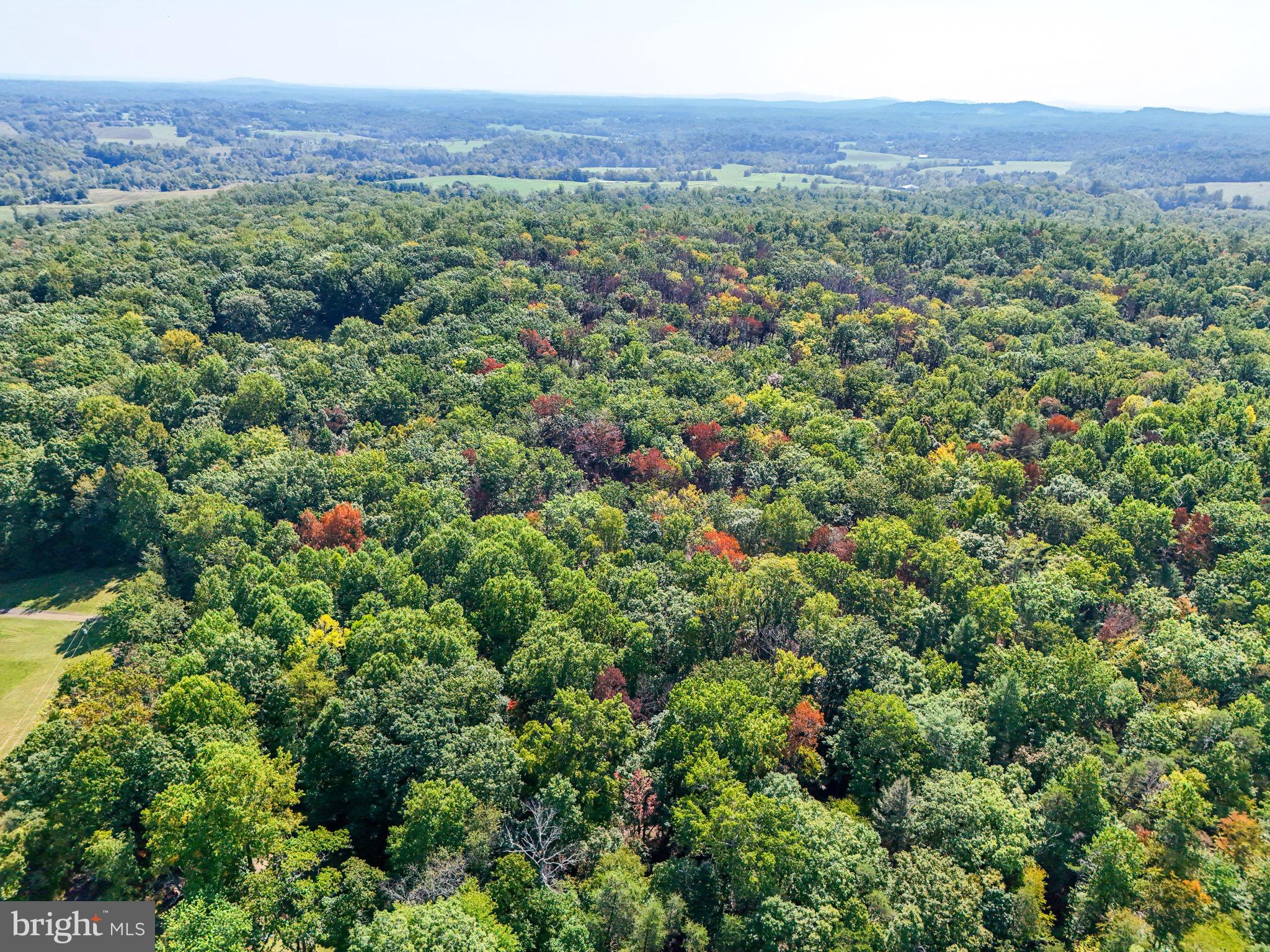 Lot B Obannons Mill Road Boston, VA 22713 - Photo 8 of 30