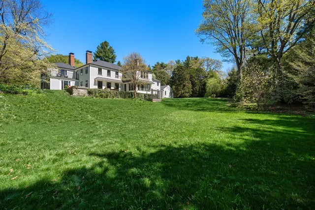 a view of a big yard with plants and large trees
