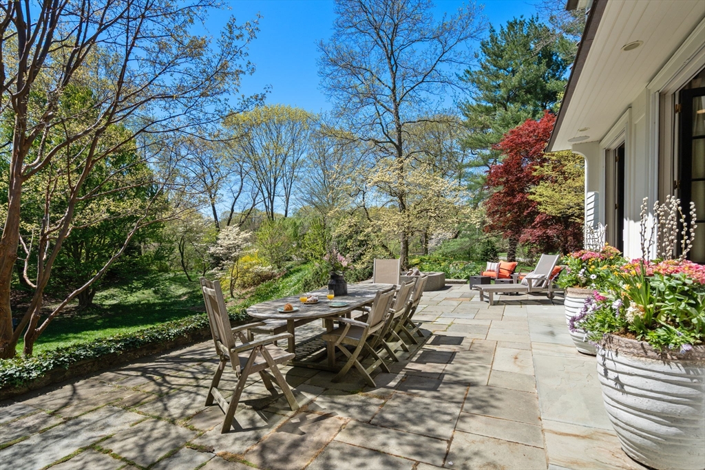 21 Sargent Crossway Brookline, MA 02445 - Photo 8 of 36 a view of a backyard with plants and a patio