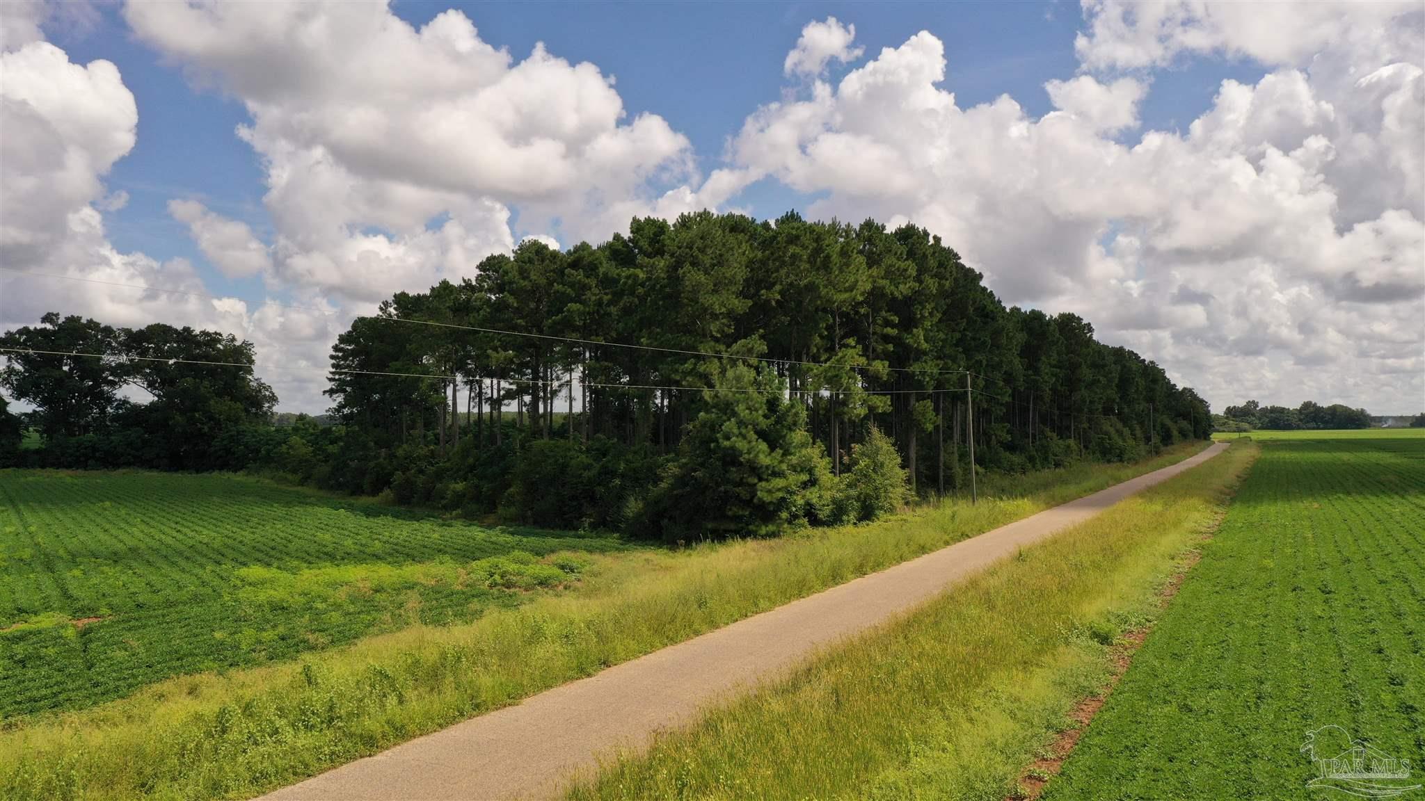 Jack Springs Road, Unit 1 Atmore, AL 36502 - Photo 28 of 31