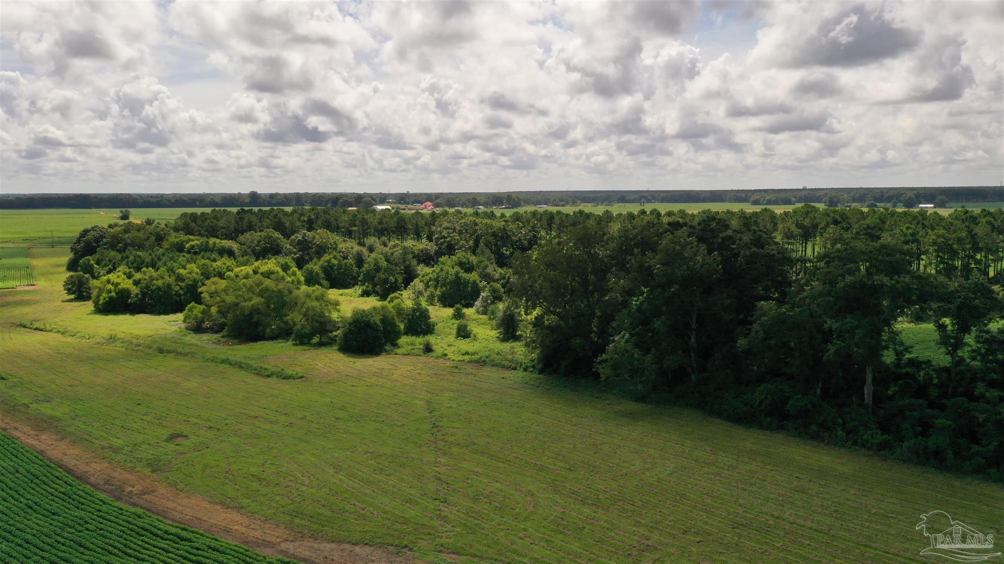Jack Springs Road, Unit 1 Atmore, AL 36502 - Photo 6 of 31