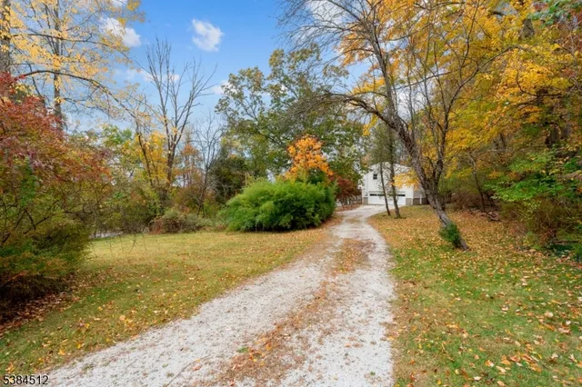 a view of road with large trees