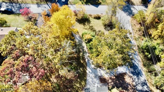 a view of a tree with a yard
