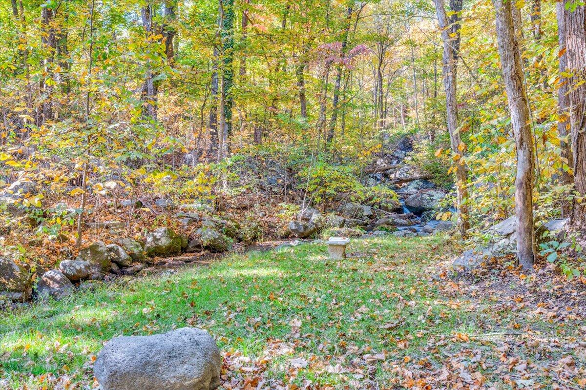1017 Karnes Road Bedford, VA 24523 - Photo 42 of 56 a backyard of a house with lots of green space and garden