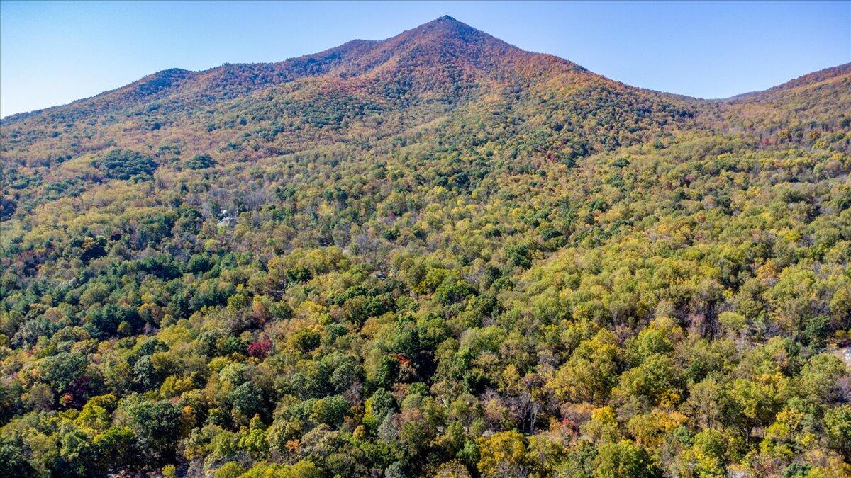 1017 Karnes Road Bedford, VA 24523 - Photo 53 of 56 view of a mountain range with a lush green hillside