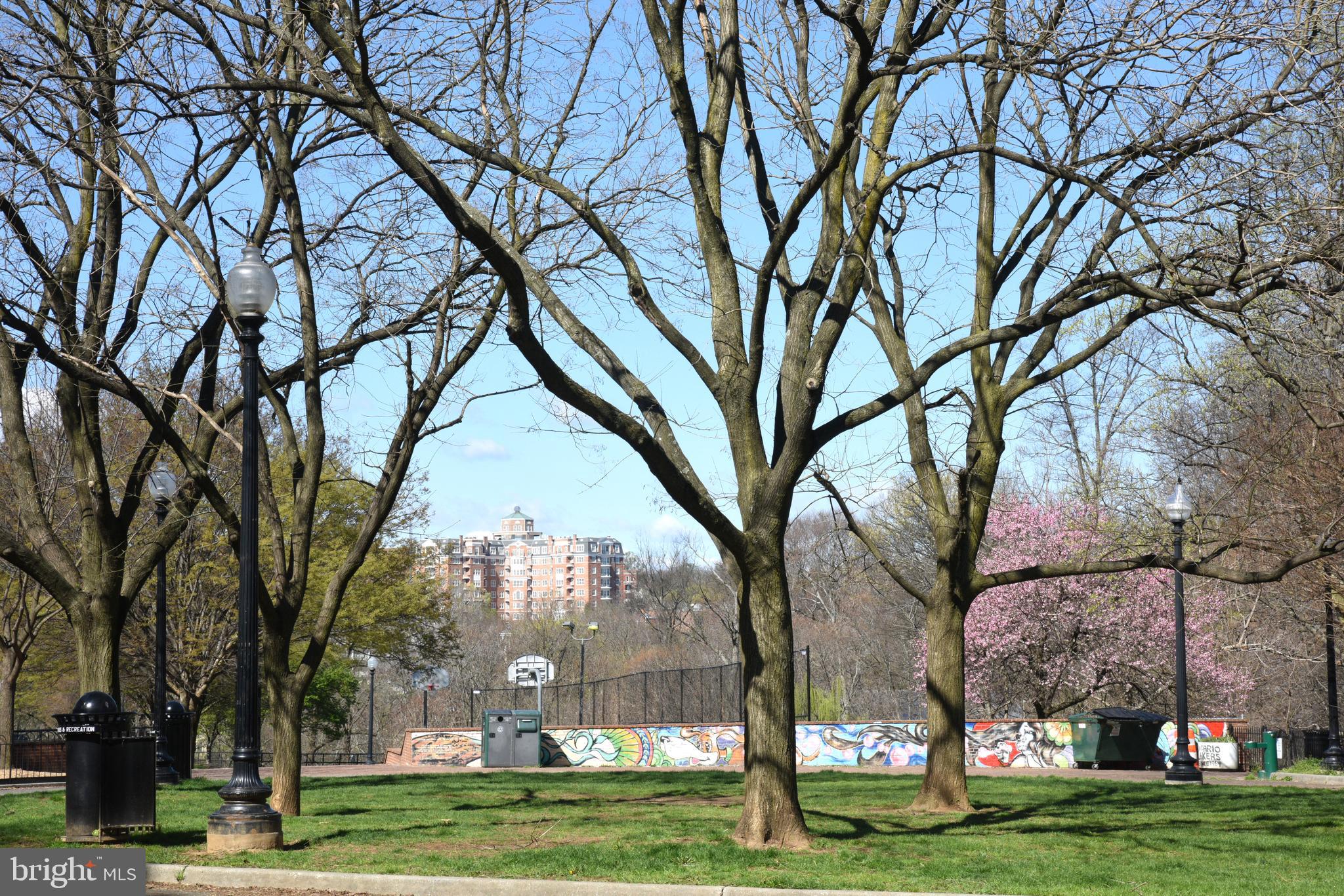 2633 Adams Mill Road Northwest, Unit 201 Washington, DC 20009 - Photo 25 of 41