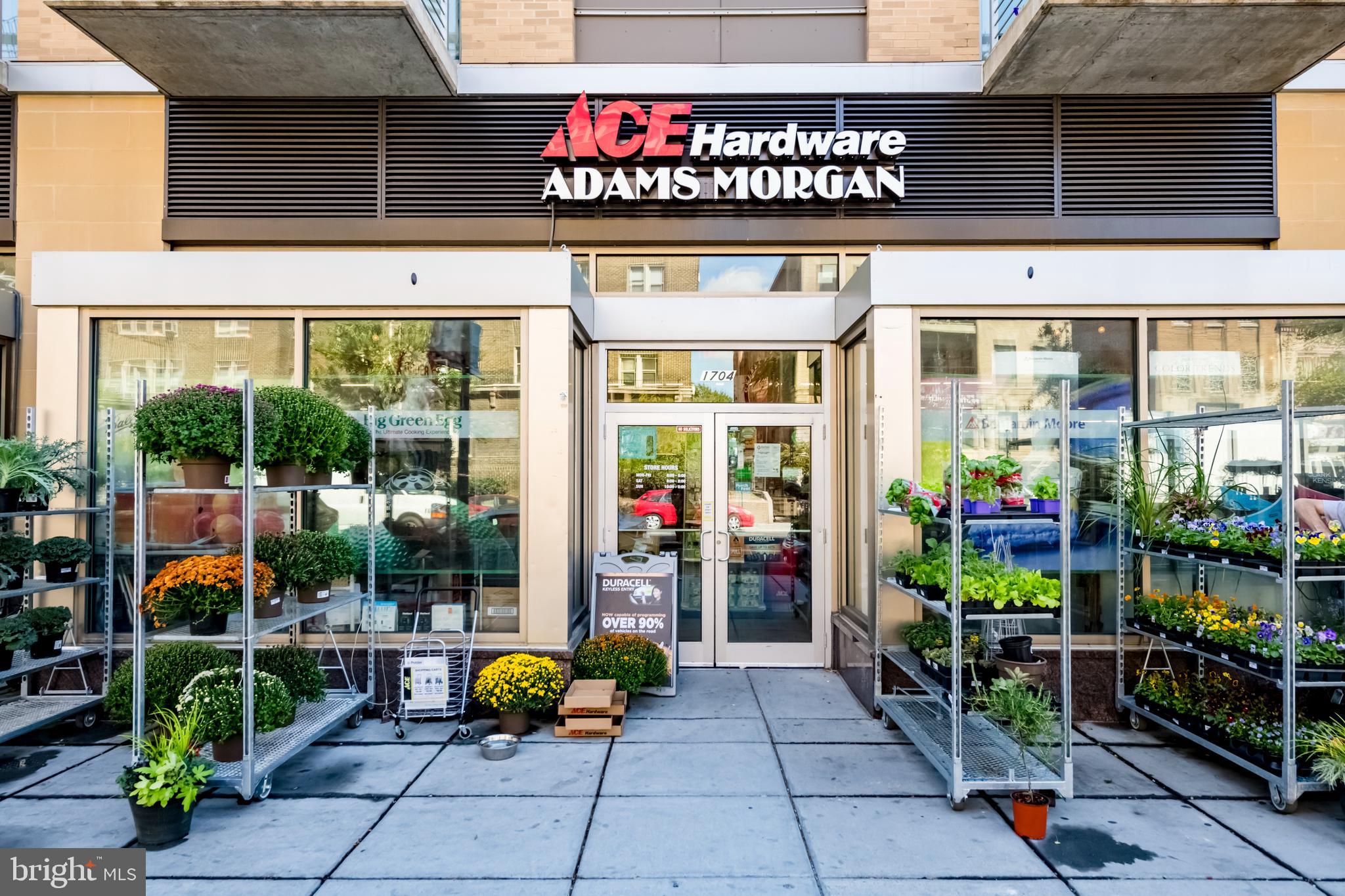 2633 Adams Mill Road Northwest, Unit 201 Washington, DC 20009 - Photo 31 of 41