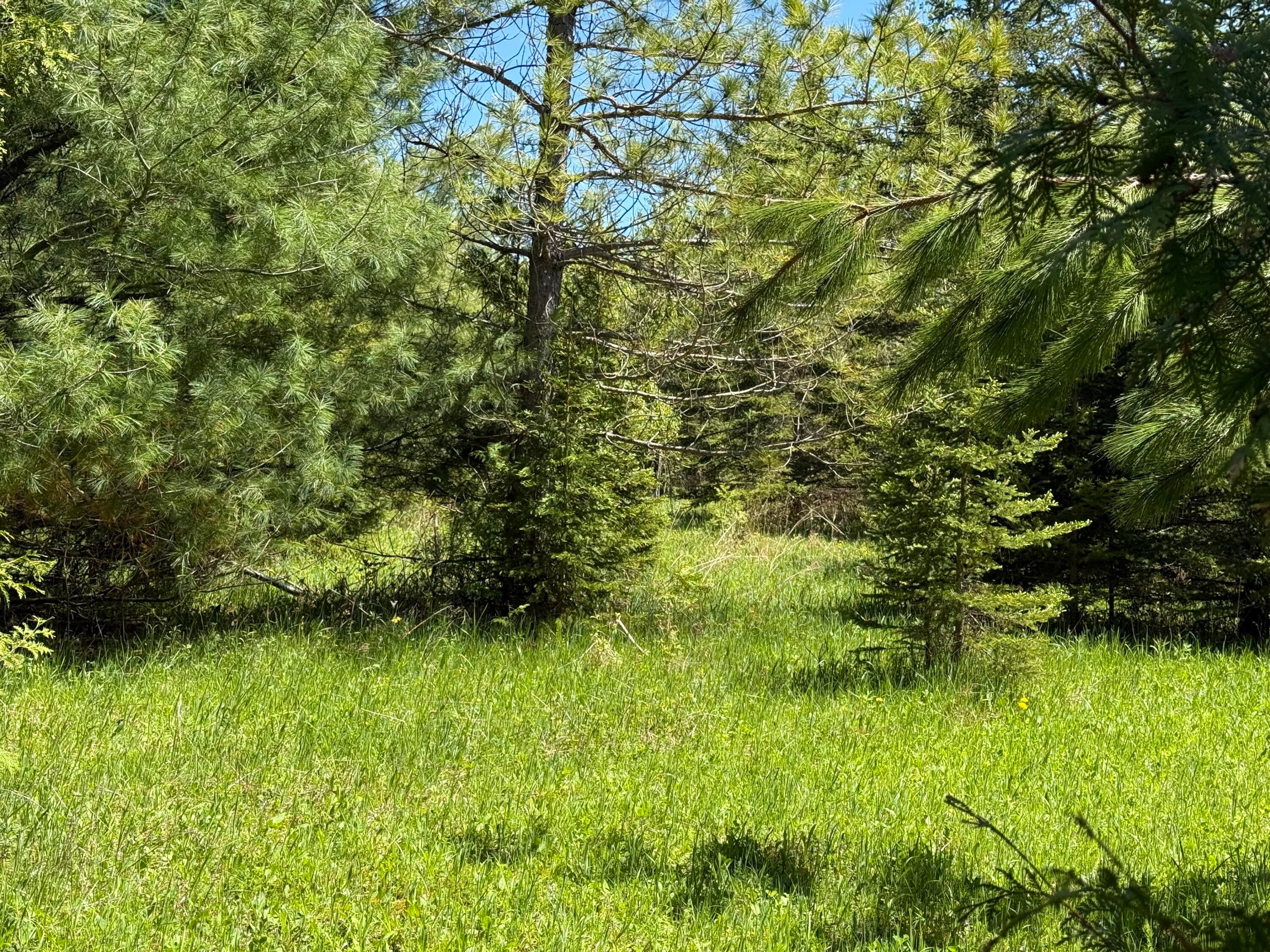 9613 Ross Road Cheboygan, MI 49721 - Photo 22 of 36 image00010