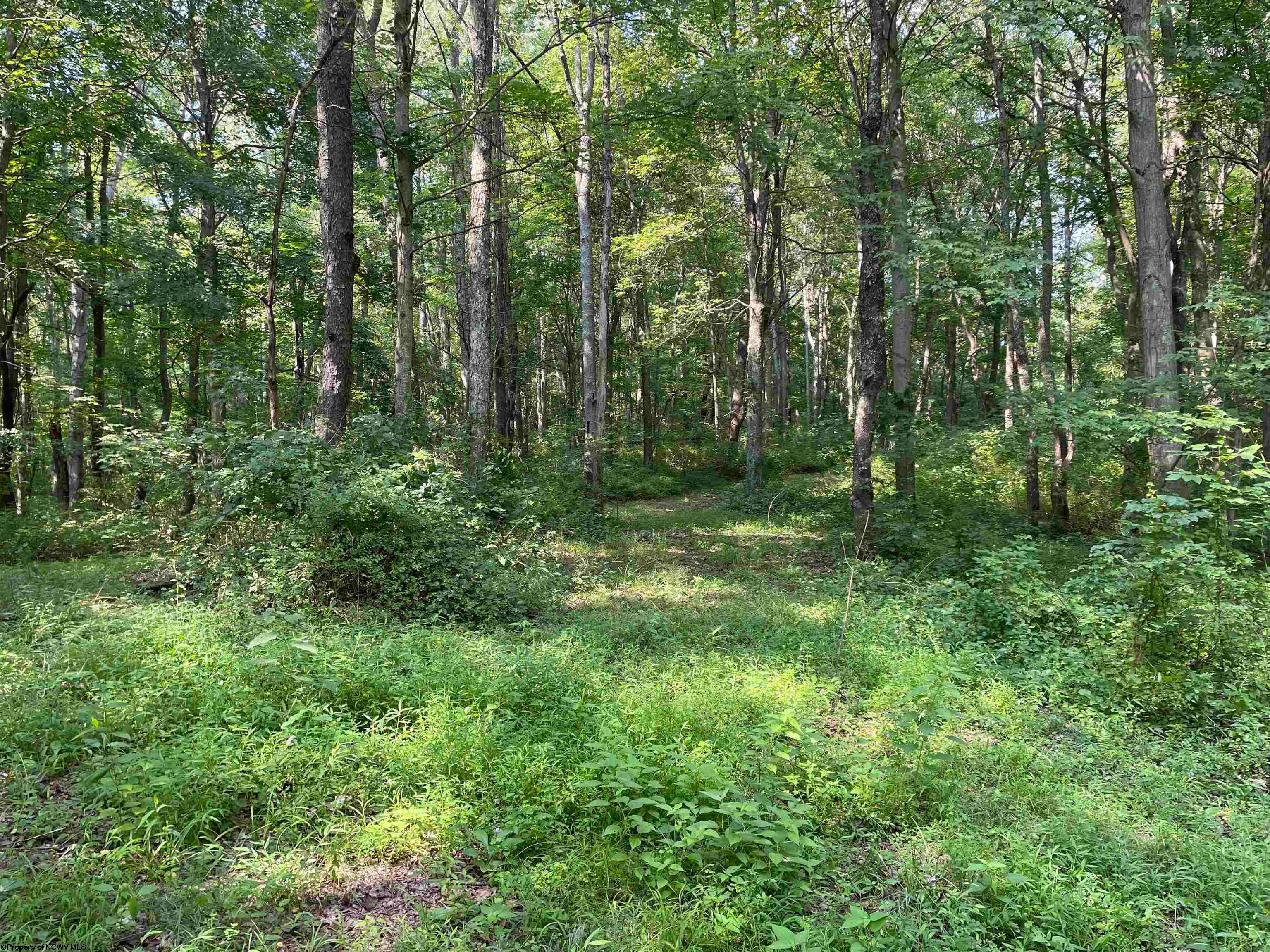 Tbd Mount Clare Road Mount Clare, WV 26408 - Photo 14 of 45 Gallery Image 14