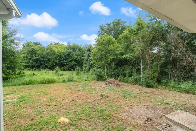 a view of a yard with a tree