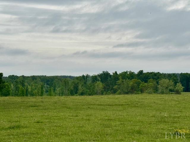 0 River Ridge Road Appomattox, VA 24522 - Photo 2 of 8 Gallery Image 2