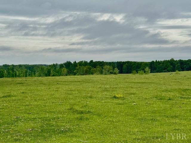 0 River Ridge Road Appomattox, VA 24522 - Photo 3 of 8 Gallery Image 3