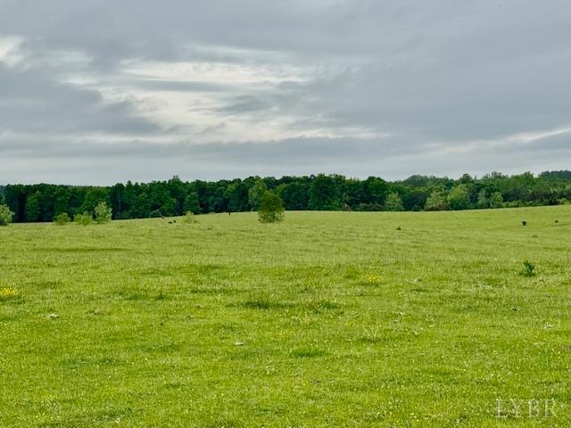 0 River Ridge Road Appomattox, VA 24522 - Photo 4 of 8 Gallery Image 4