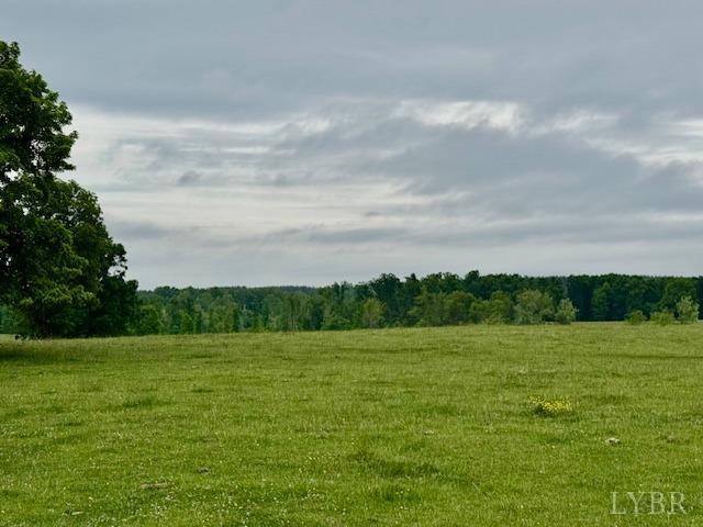 0 River Ridge Road Appomattox, VA 24522 - Photo 5 of 8 Gallery Image 5