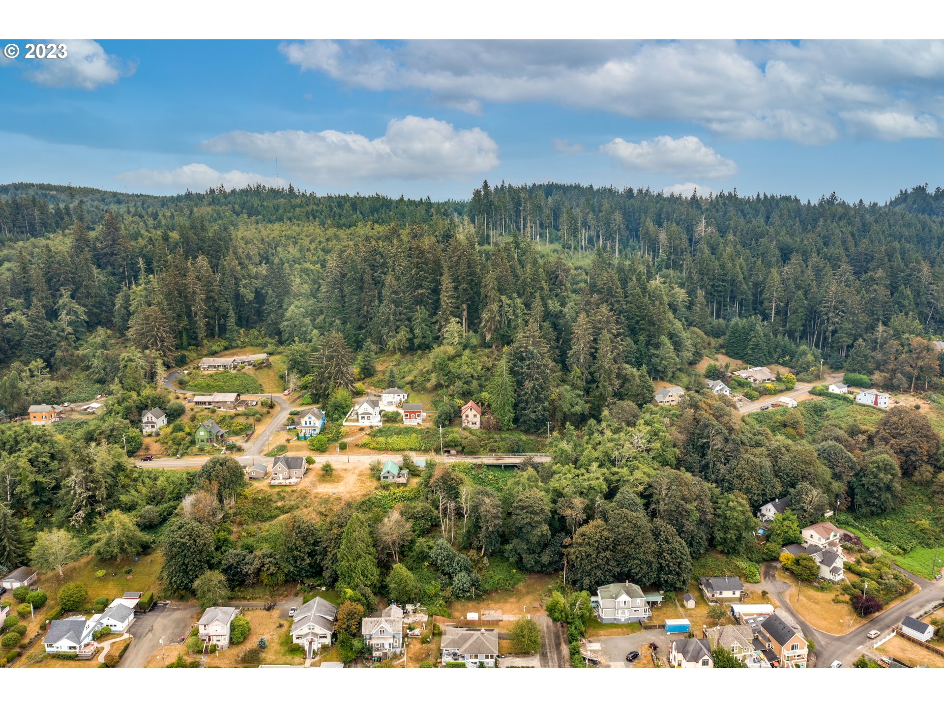 836 33rd Street Astoria, OR 97103 - Photo 2 of 11 a view of lake with mountain