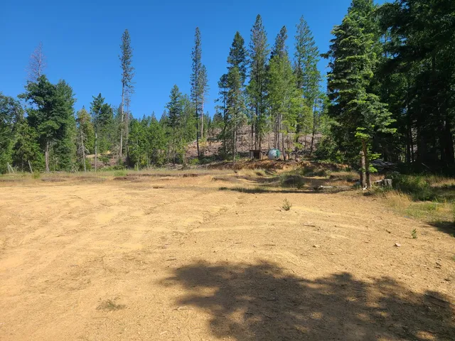 a view of a yard with trees