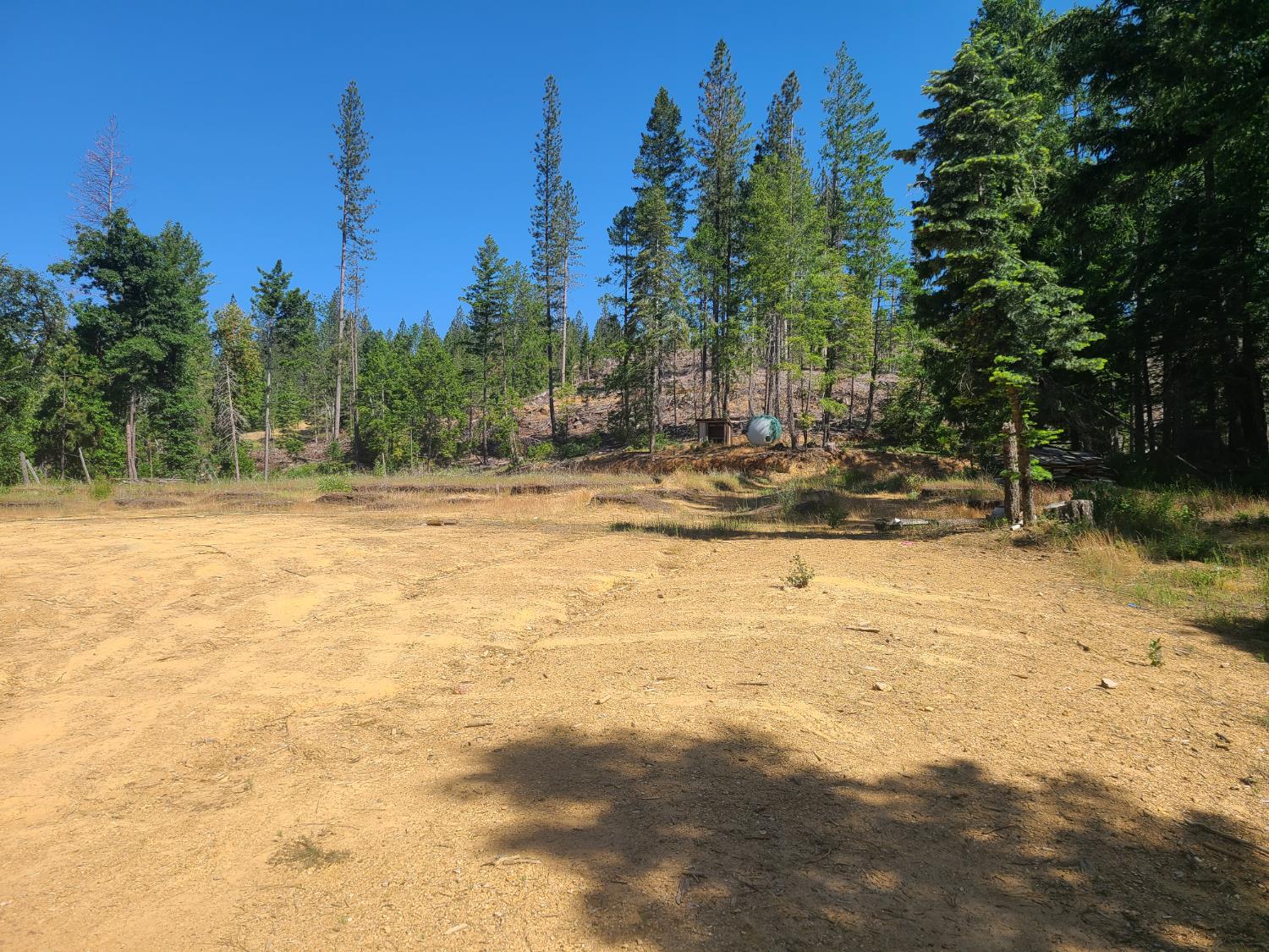 18200 Holley Ravine Road Nevada City, CA 95959 - Photo 2 of 11 a view of a yard with trees
