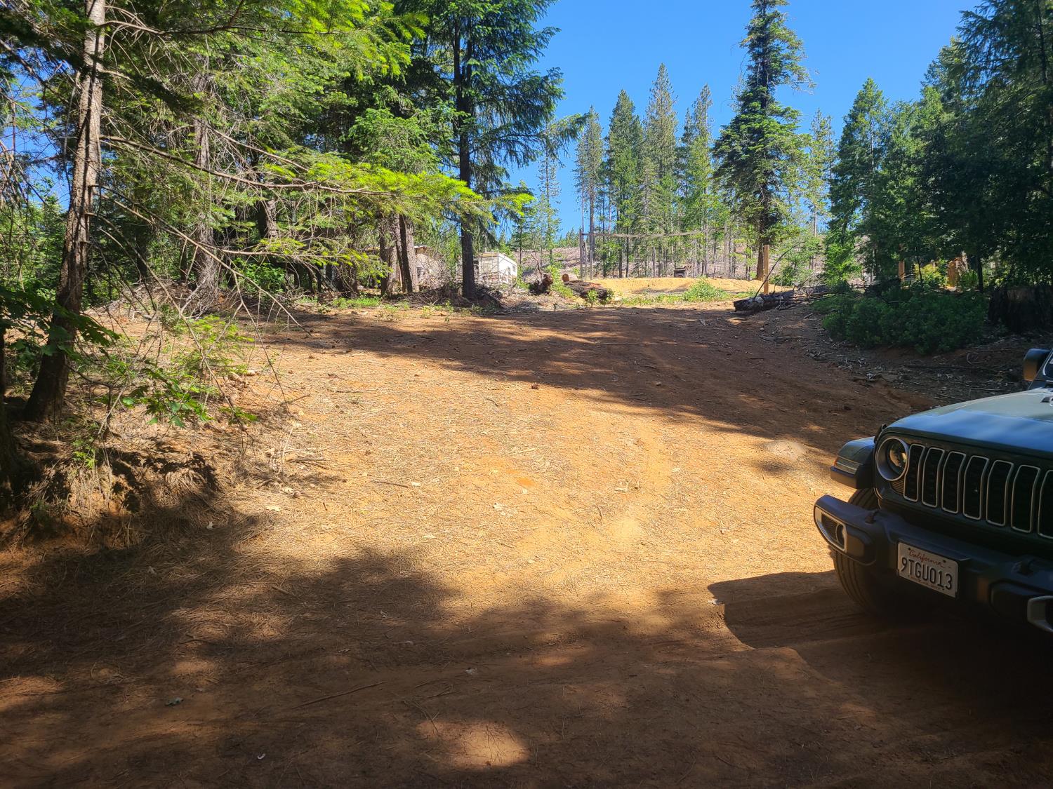 18200 Holley Ravine Road Nevada City, CA 95959 - Photo 3 of 11 a view of a yard with plants and trees