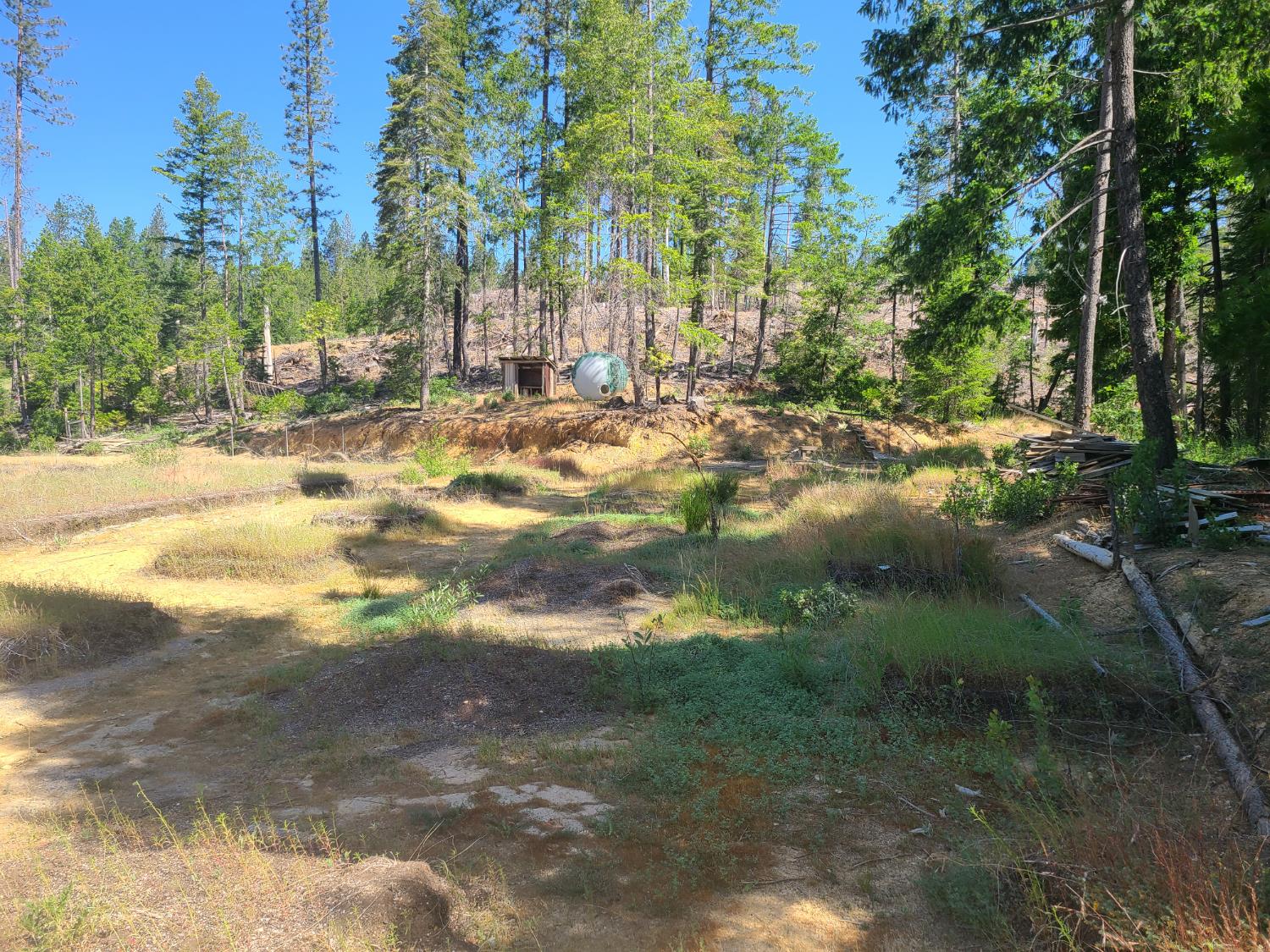 18200 Holley Ravine Road Nevada City, CA 95959 - Photo 7 of 11 a view of a yard with a house