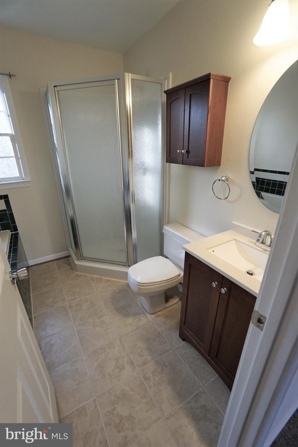 5940 Free State Road Marshall, VA 20115 - Photo 15 of 30 a bathroom with a sink a toilet and a mirror