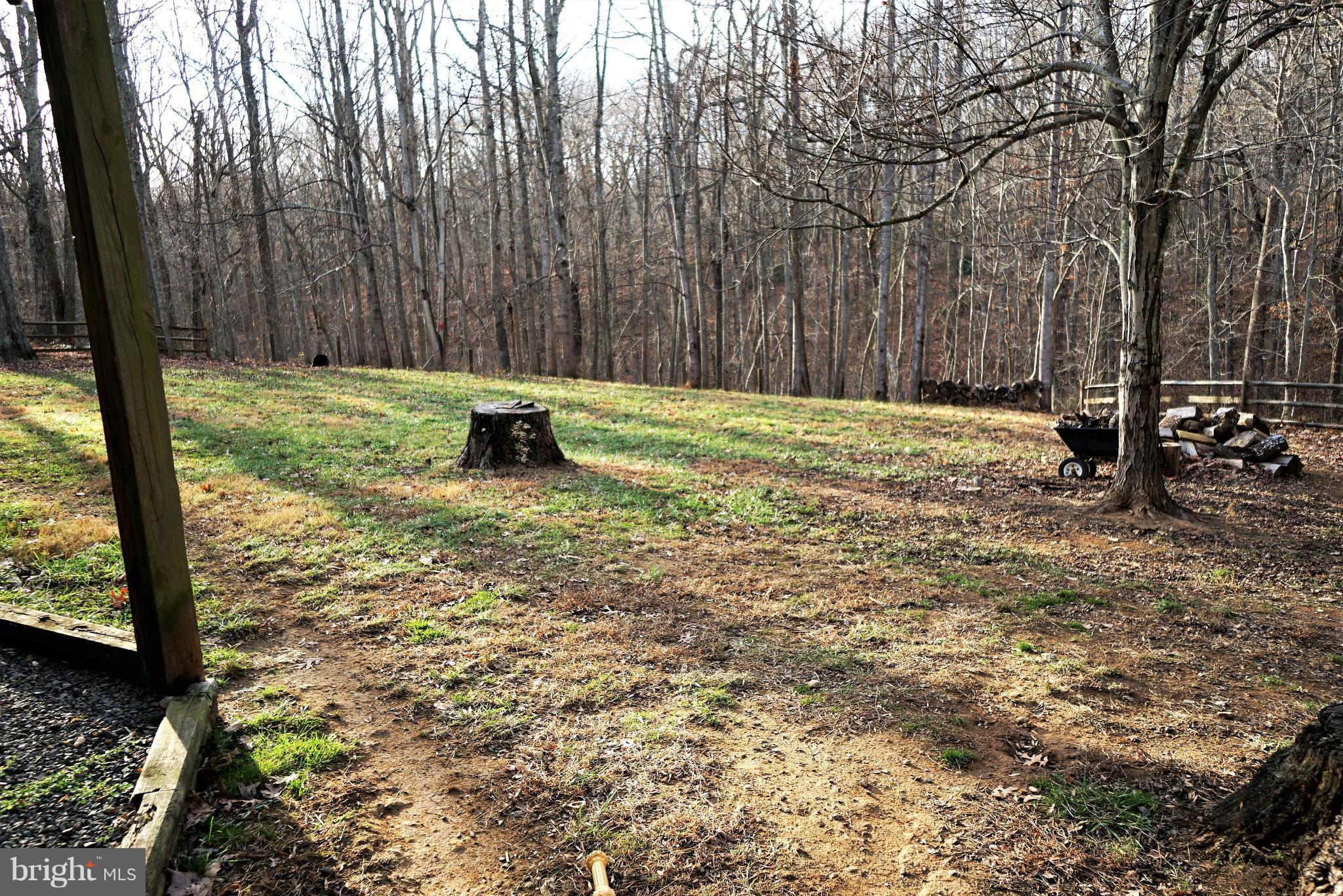 5940 Free State Road Marshall, VA 20115 - Photo 30 of 30 a view of a yard with large trees