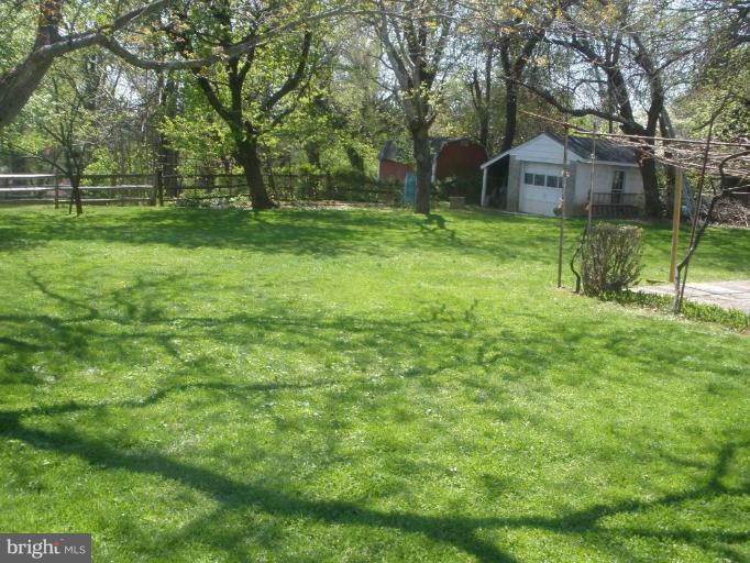 520 Randolph Road Silver Spring, MD 20904 - Photo 4 of 22 Back yard