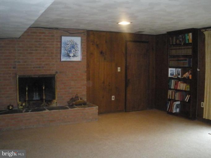 520 Randolph Road Silver Spring, MD 20904 - Photo 9 of 22 Fireplace