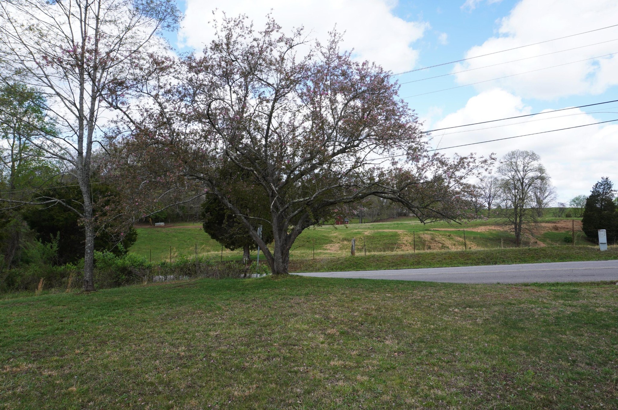1301 Pratt Road Talbott, TN 37877 - Photo 9 of 31 Gallery Image 9